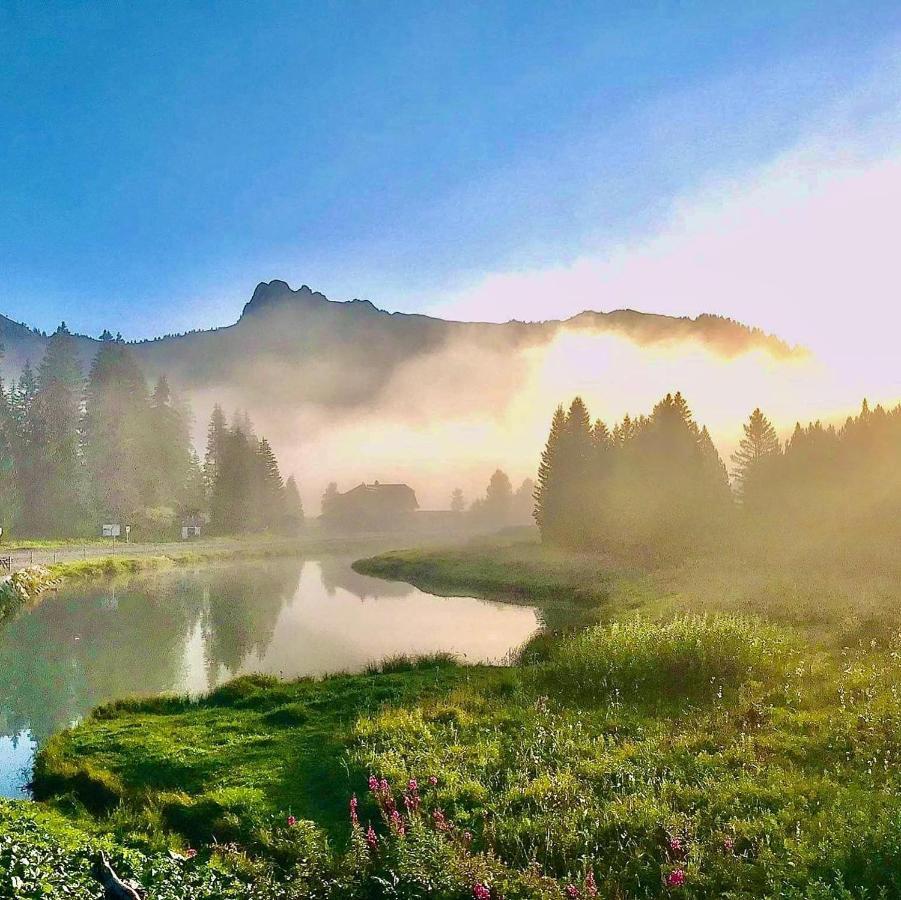 Chalet Hotel Vaccapark Le Praz de Lys Ngoại thất bức ảnh