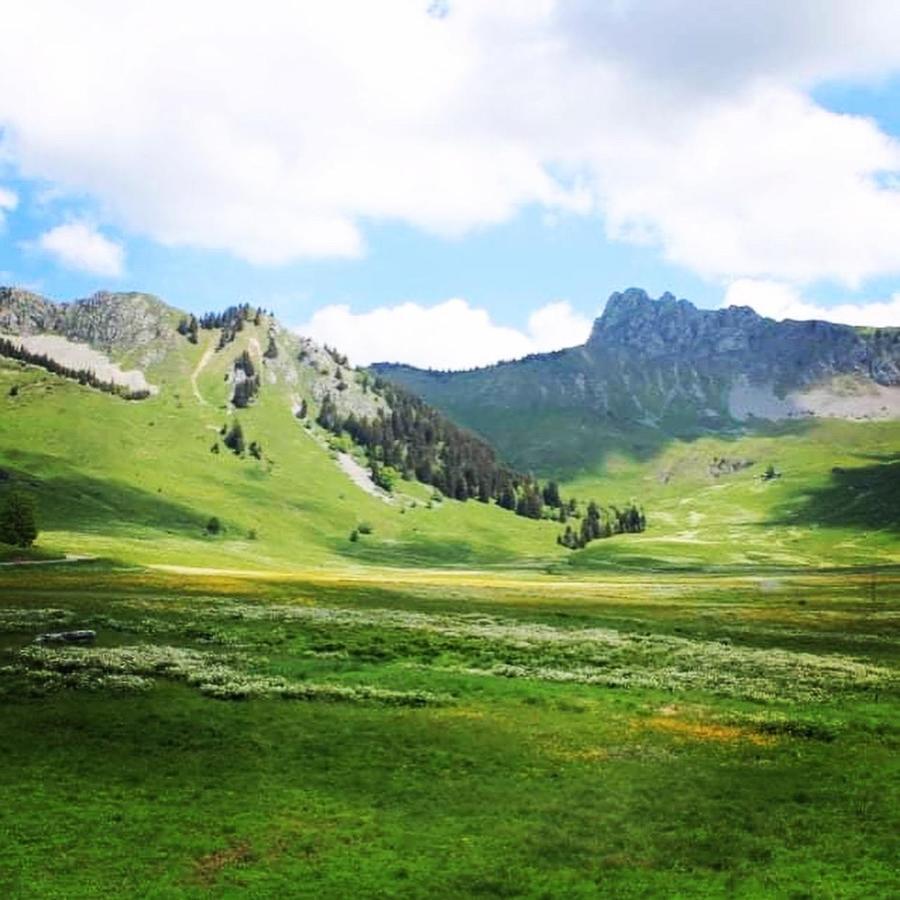 Chalet Hotel Vaccapark Le Praz de Lys Ngoại thất bức ảnh