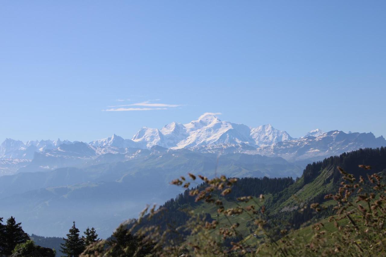 Chalet Hotel Vaccapark Le Praz de Lys Ngoại thất bức ảnh