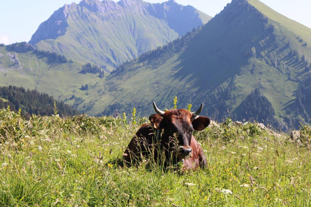 Chalet Hotel Vaccapark Le Praz de Lys Ngoại thất bức ảnh