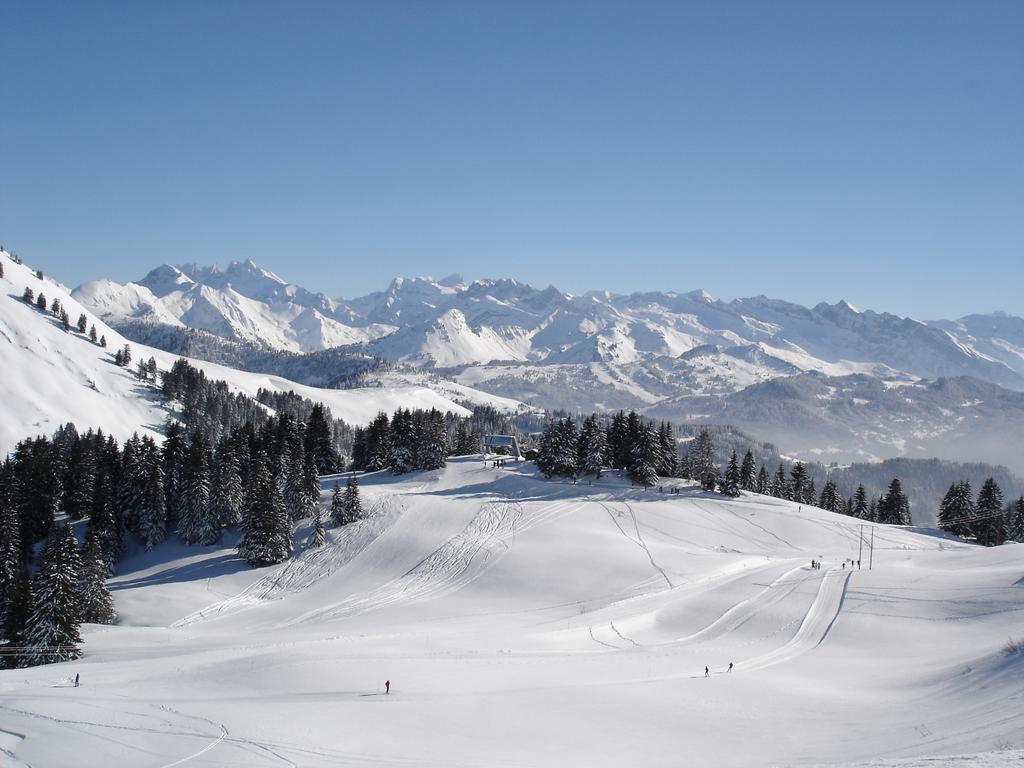 Chalet Hotel Vaccapark Le Praz de Lys Ngoại thất bức ảnh